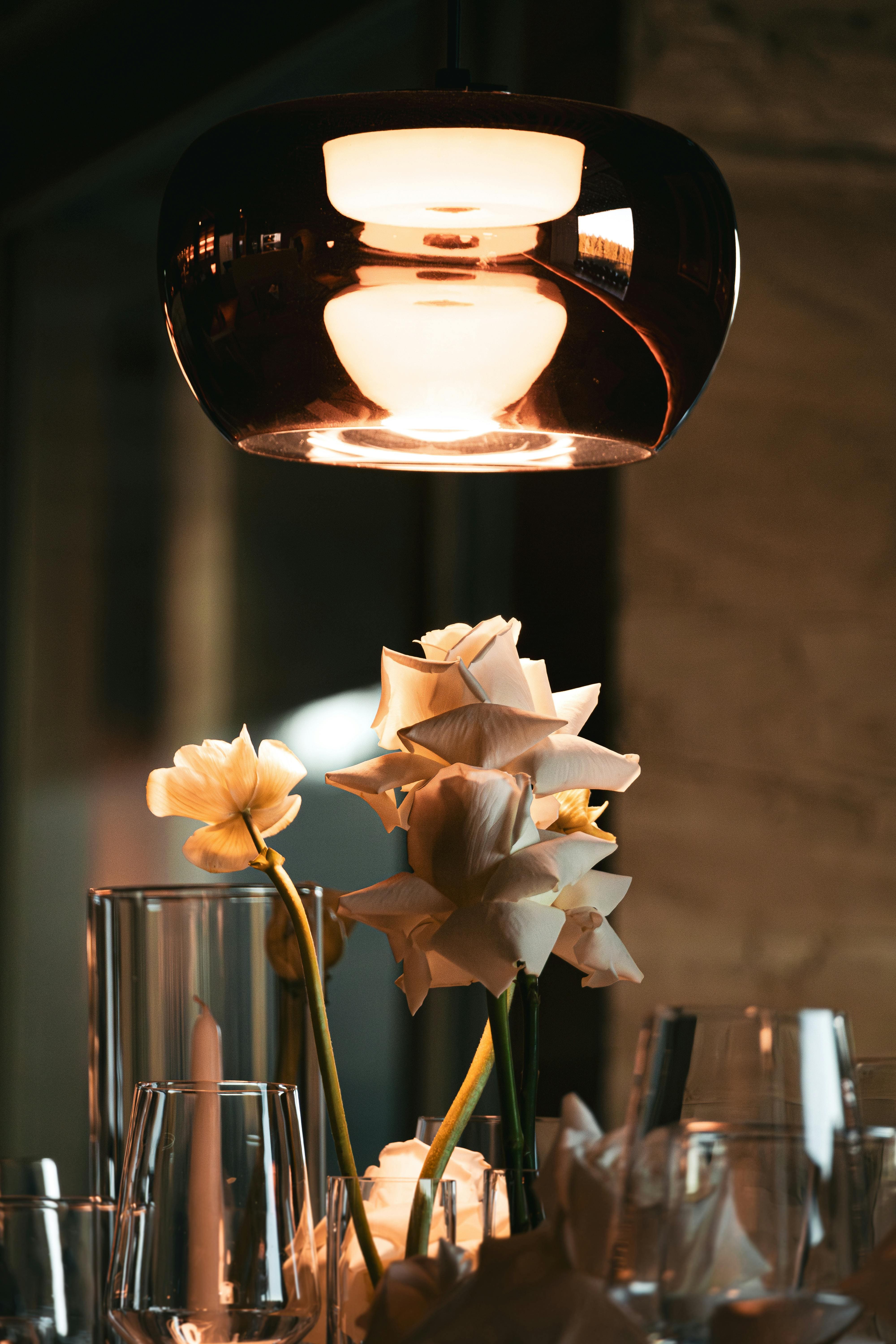 Editorial gallery ~ pexels-fabrice-busching-1777473881-30235864