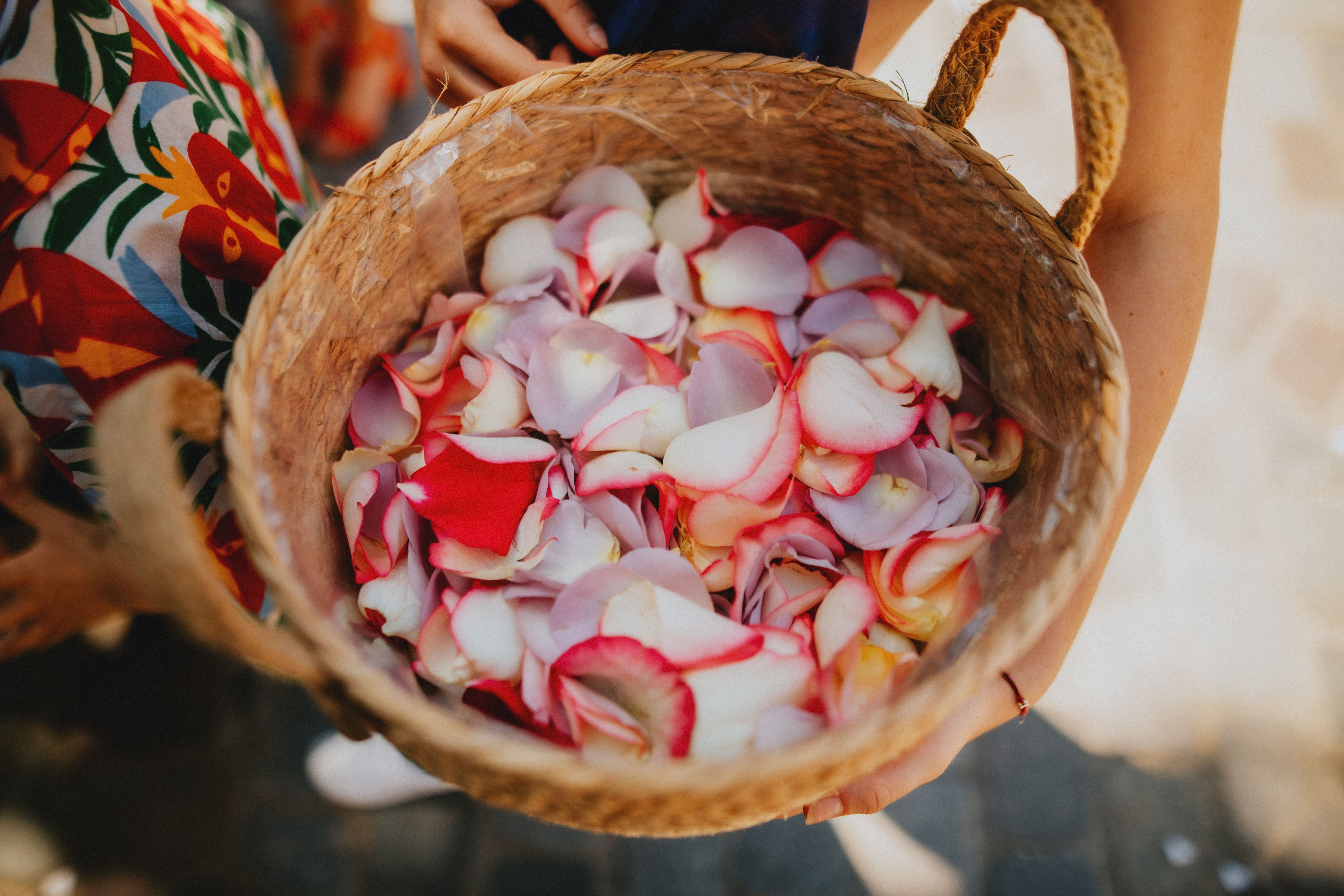 Wedding gallery ~ IMG_6052